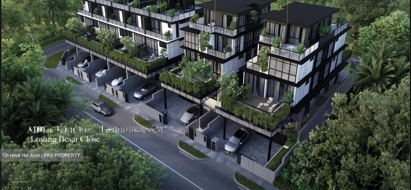 Jalan Loyang Besar (D17), Terrace #529379521